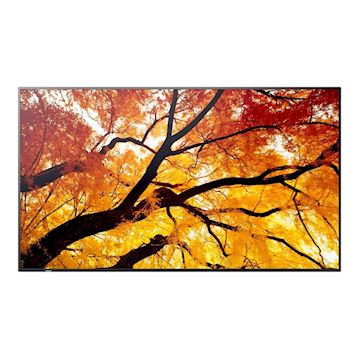 Sharp MultiSync M432 43" monitor
