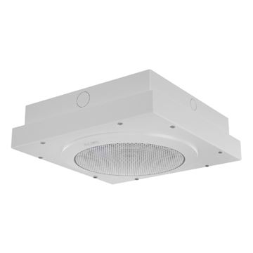 Algo IP PoE+ Surface Mount Speaker