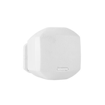 Biamp MASK2-W