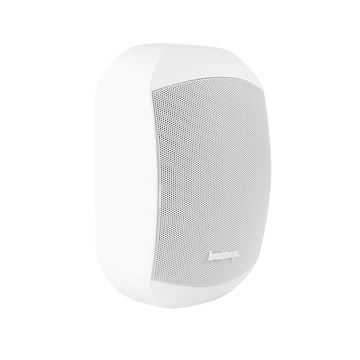 Biamp MASK4CT-W