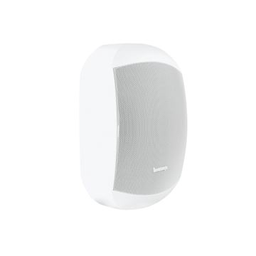 Biamp Mask 6CT 100V